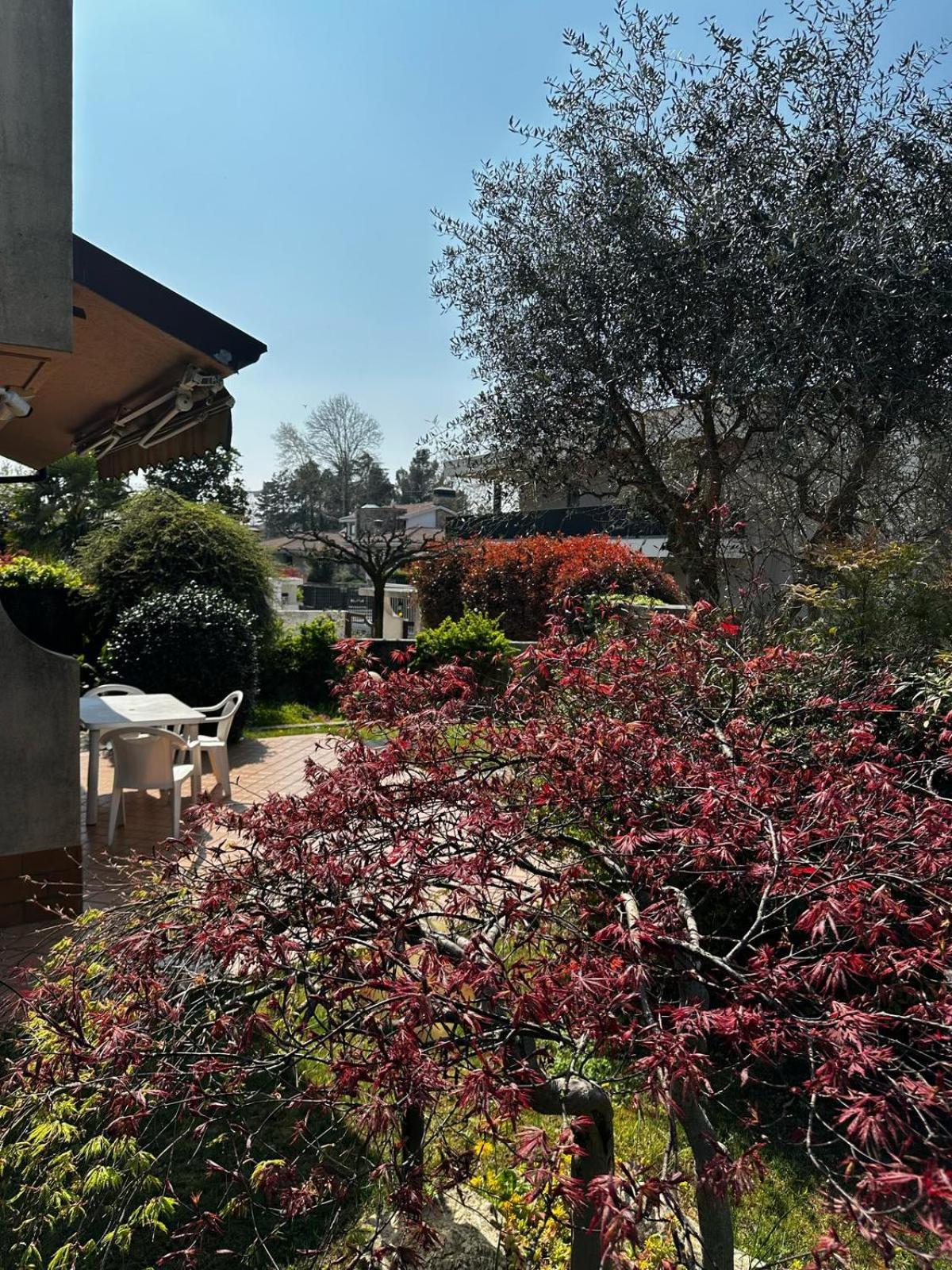 Villa Luisa Gorle Exterior photo